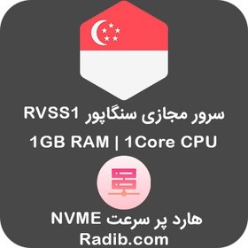 تصویر سرور مجازی NVME سنگاپور - پلن RVSS1 