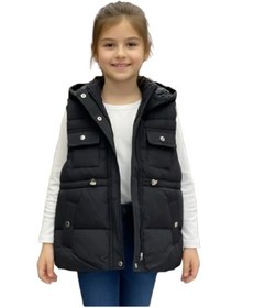 تصویر پافر بچگانه 