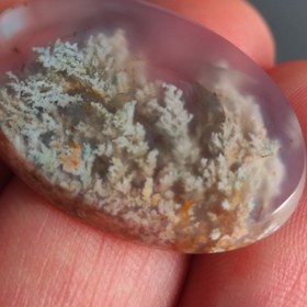 تصویر نگین عقیق شجر بهاری هفت رنگ 