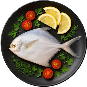 تصویر ماهی حلوا سفید (زبیدی) 