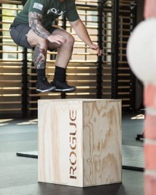 تصویر جامپ باکس ROGUE 