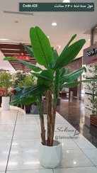 تصویر درختچه موز مصنوعی ۲۴۰ سانت سه تنه 