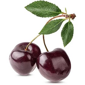 تصویر گیلاس 