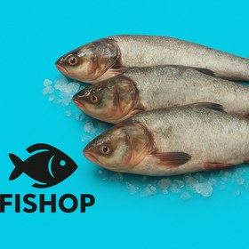 تصویر ماهی بیگ هد 