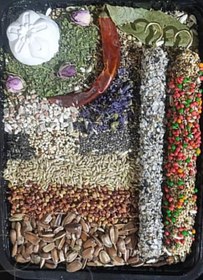 تصویر پک غذای طوطی سانان 