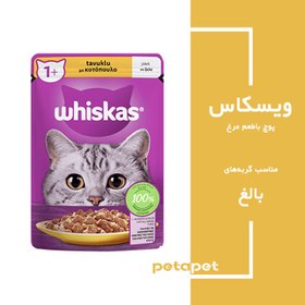 تصویر پوچ گربه بالغ ویسکاس مرغ در ژله 85 گرم (ترکیه) Whiskas Chicken 100g