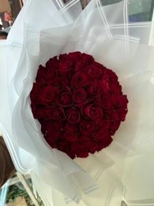 تصویر فروشگاه گل و گیاه فلوریکا