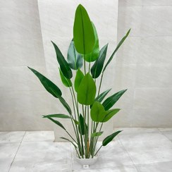 تصویر درختچه مصنوعی پرنده ی بهشتی با برگ سوزنی 