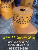 تصویر پر کن بلدرچین 25 عددی 