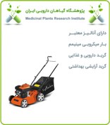 تصویر چمن زن بنزینی تاپ گاردن 