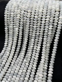 تصویر ریسه صدف طبیعی کد 8838 