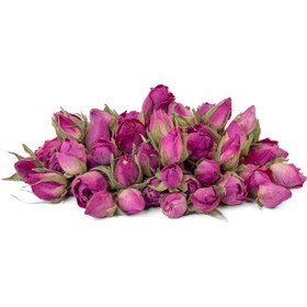 تصویر غنچه گل محمدی درجه یک 