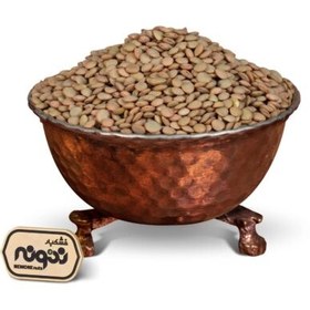 تصویر عدس سبز درشت ایرانی 