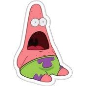 تصویر برچسب خودرو مدل پاتریک 