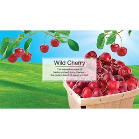 تصویر خوشبوکننده خودرو لیتل تریس مدل Cherry Blast خوشبوکننده خودرو متفرقه مدل Cherry Blast