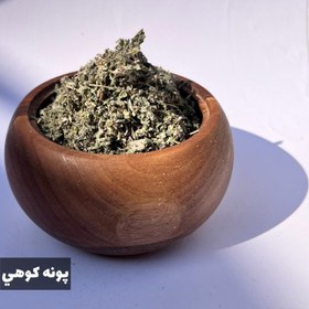 تصویر پونه کوهی 