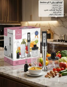 تصویر غذاساز ۴کاره دسینی 