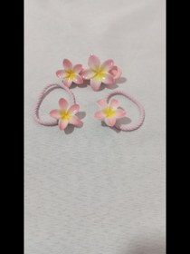 تصویر پنس و کشمو پلو مریا 