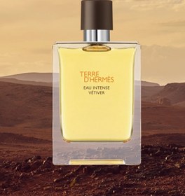 hermes terre intense