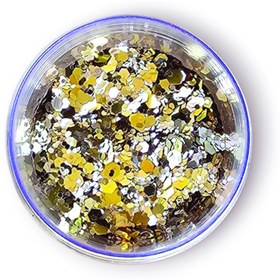 تصویر اکلیل هلوگرامی 