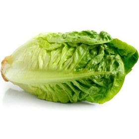 تصویر لیتل جم سبز Little Gem Lettuce