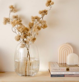 تصویر گلدان لاین 