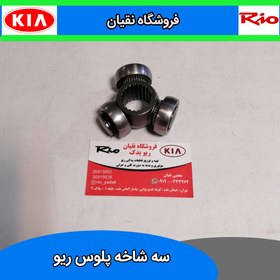 تصویر سه شاخه پلوس ریو 