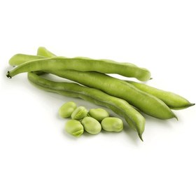 تصویر باقالی Broad bean