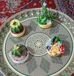 تصویر کاکتوس دکوری مینیاتوری