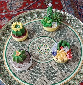 تصویر کاکتوس دکوری مینیاتوری
