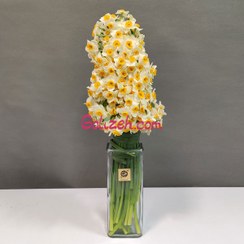 تصویر دسته گل نرگس شیراز ۱۰۰ شاخه 