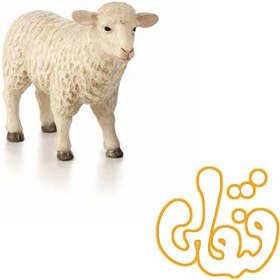 تصویر گوسفند میش ماده 387096 Sheep Ewe 