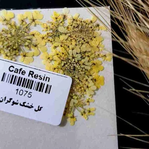 تصویر فروشگاه کافه رزین