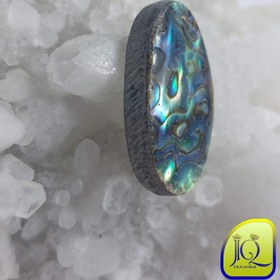 تصویر نگین صدف آبالون 