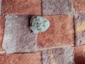 تصویر اپال کوچک 7رنگ 