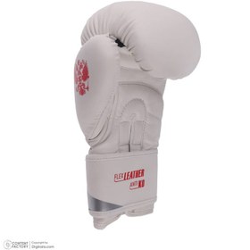 تصویر دستکش بوکس مدل Fiter pro 2025 - 12 