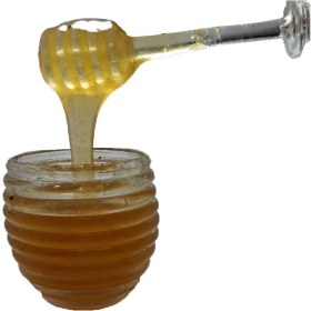 تصویر عسل گون 