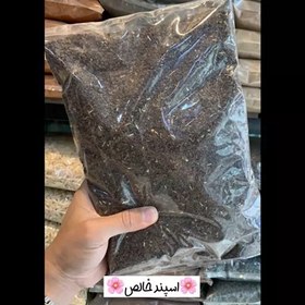 تصویر اسپند درجه یک تمیز 500 گرم 