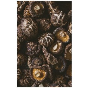 تصویر پودر قارچ شیتاکه 