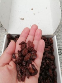 تصویر کشمش آفتابی گله Keshmesh aftabi gale