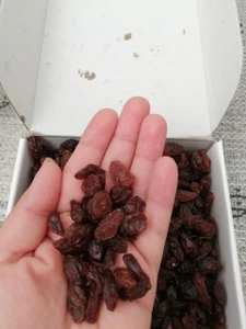 تصویر فروشگاه خشکبار بیهق