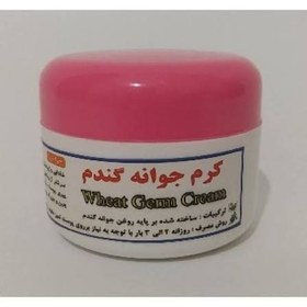 تصویر کرم جوانه گندم طبیعی 