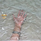 تصویر فرانسه پولک کد: F4 