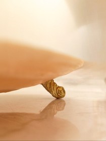 تصویر صدف پایه حلزونی 