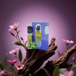 تصویر عطر طبیعی و درمانی روح افزا 2.5 گرمی غلتکی مقوی اعصاب Natural fragrance