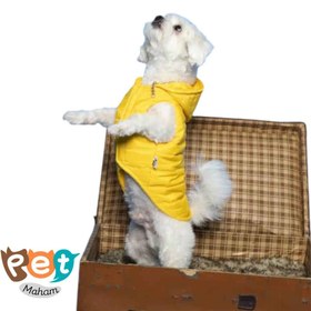 تصویر لباس سگ و گربه مدل پافر کلاه دار تو پشمی ساده نارنجی ابی زرد صورتی m l xl 2x 