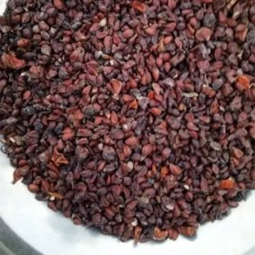 تصویر به دانه 