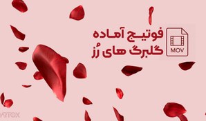 تصویر فوتیج برگ های متحرک گل رز 