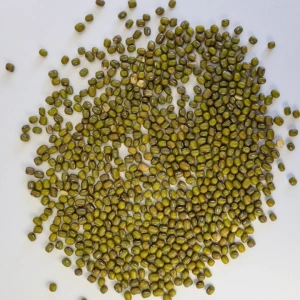 تصویر فروشگاه برنج اکسیر