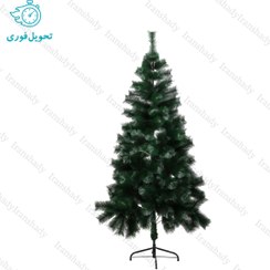 تصویر درخت کریسمس استرالیایی مدل سبز ارتفاع 120 سانتی متری Australian Christmas tree, green model, height 120 cm